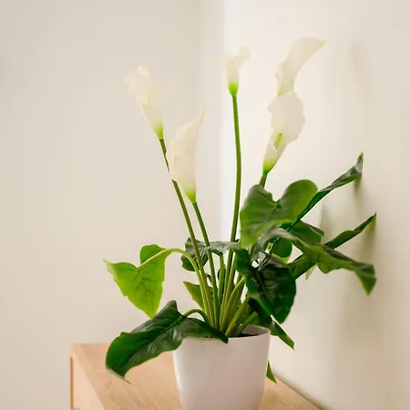 Homestay F8-4 Ensuite Bedroom