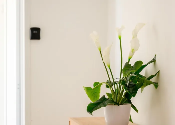 Gazde/Camere de închiriat F8-4 Ensuite Bedroom *